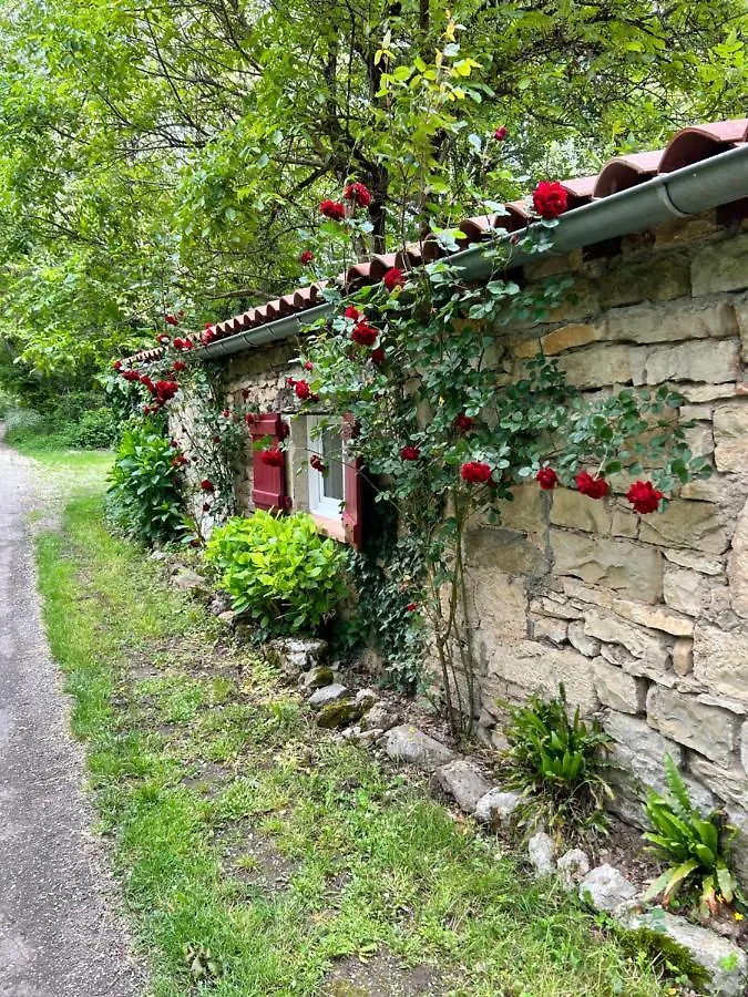Chambre En Bordure D'Aveyron サン・タントナン